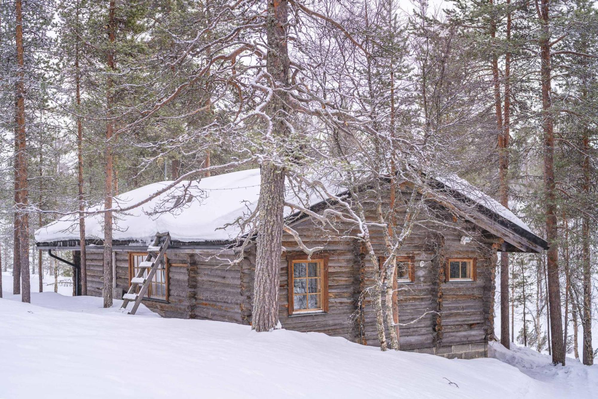 Kuukkeli Log Houses Aurora Cabin - Jaspis Saariselka Ngoại thất bức ảnh